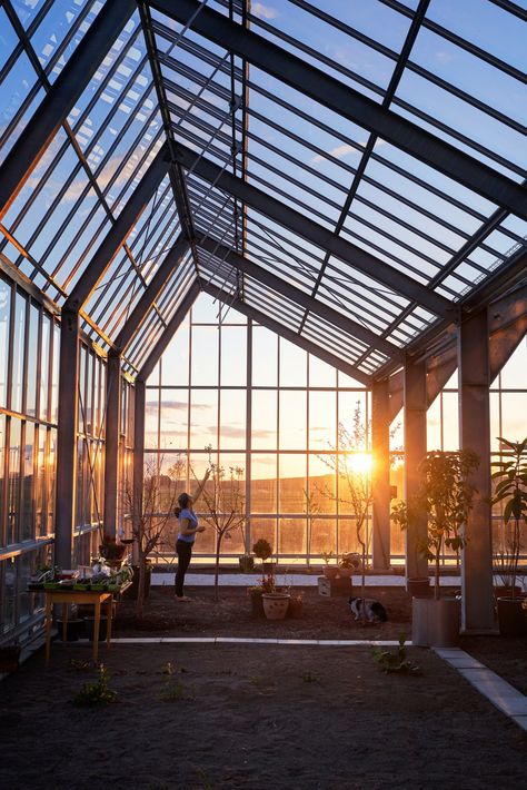 How Sweden Became the Surprising Center of the Greenhouse Home Movement - Dwell Greenhouse Restaurant, Swedish Countryside, Greenhouse Home, Timber Buildings, The Greenhouse, Structure Architecture, Picture Windows, Garden Pests, Television Program