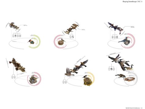 Gallery of Shaping Soundscapes: Multi Scales Design Guideline - 26 Soundscape Design, Bartlett School, Bartlett School Of Architecture, Design Guidelines, Scale Design, Urban Life, 8th Of March, School Architecture, Product Launch