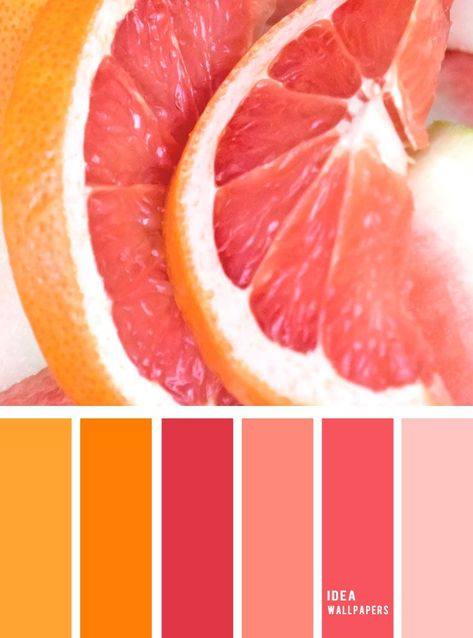 Newest Absolutely Free Color Schemes orange Suggestions Most of us see the essentials with the colour tyre: by primary along with second hues in order to ju #Absolutely #Color #Free #Newest #orange #Schemes #Suggestions Orange Palette, Pink Color Combination, Orange Color Schemes, Orange Color Palettes, Color Schemes Colour Palettes, Color Palette Pink, Palette Color, Color Palate, Color Harmony