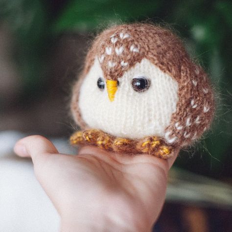 Designer Spotlight: The Best Knit & Crochet Patterns Inspired By OWLS! | KnitHacker Owl Knitting, Owl Knitting Pattern, Knit Crochet Patterns, Hedgehog Pattern, Bird Quilt Blocks, Knitted Owl, Crochet Owls, Owl Crochet Patterns, Beginner Knitting Patterns