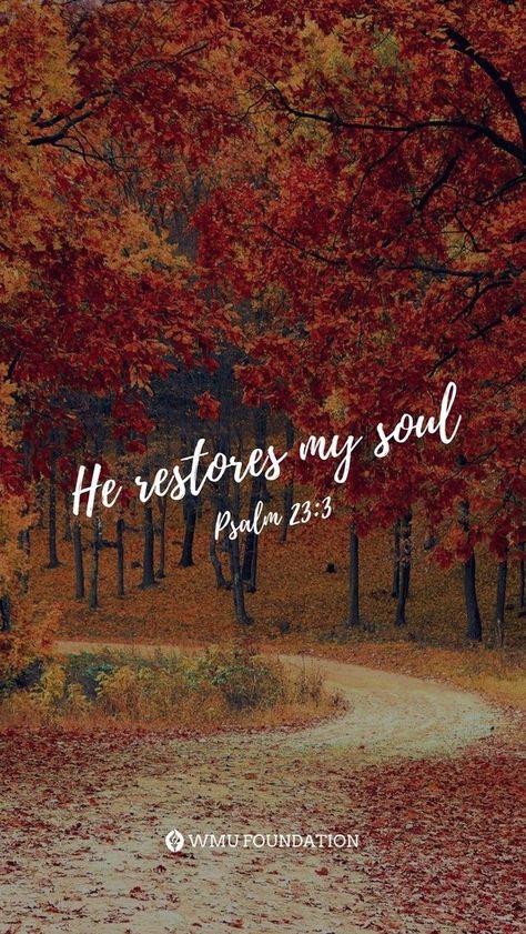 He restores my soul. He leads me in paths of righteousness for his name’s sake. (Psalm 23:3 ESV) PRAYER 🤲🏼 FatherGod thankYou! Today and always, refresh us, renew our strength and lead us on Your righteous path. Help us to follow Your examples — lead others to do the same, and live in ways that please You, bringing honor to You- in Jesus' name Amen! Fall Bible Verses, Psalm 23 3, He Restores My Soul, Grace Upon Grace, Christian Fall, Weary Soul, Bible Verse Background, Bible Quotes Images, Jesus Name