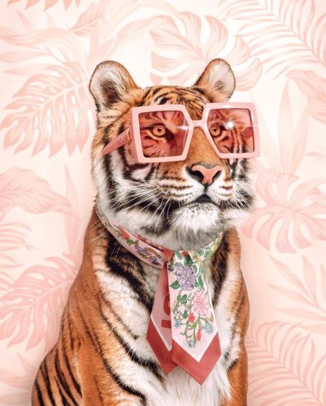 Paul Fuentes, Wall Pop, King Of The Jungle, Gucci Style, Tiger Art, The King, Instagram Fashion, Art Wallpaper, Animal Art