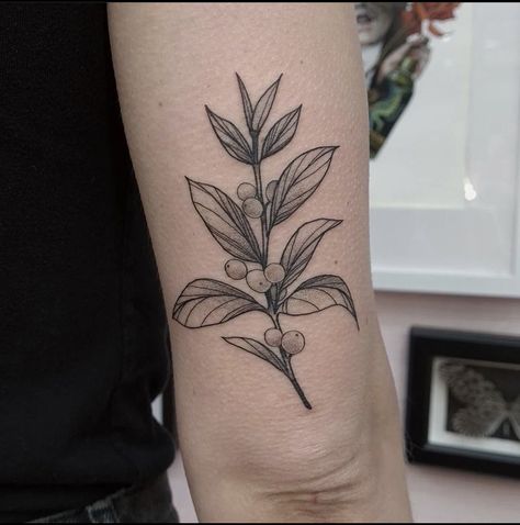 Plant Tattoo For Men, Coffee Plant Tattoo, Medium Size Tattoos, Coffee Tattoos, Elbow Tattoos, Plant Tattoo, Above Elbow, Latest Tattoos, Coffee Plant