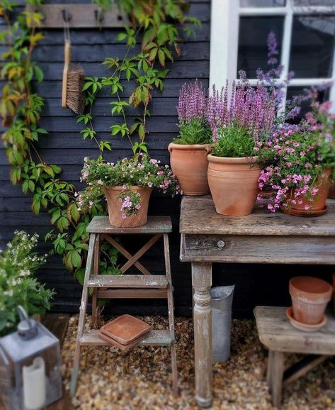 Small Magical Garden, Small Garden Ideas, Garden Junk, Charming Garden, Magical Garden, Courtyard Garden, Garden Lovers, Rustic Gardens, Country Gardening