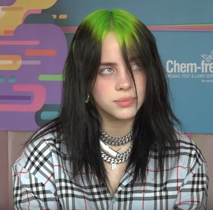 Billie Eilish Icons, Black And Green Hair, Dark Green Hair, Hair Icon, Beauty Shots, Roots Hair, Green Hair, Style Icon, Billie Eilish