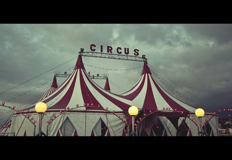 The colours I could use in my design if I choose to do the circus theme will be based around using Red, white and black. Circus Aesthetic, Dark Circus, Teddy Girl, Night Circus, Circus Tent, Sebastian Michaelis, Circus Art, The Greatest Showman, Ciel Phantomhive