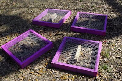 Chicken Grazing Boxes Diy, Grazing Boxes For Chickens, Chicken Grazing Boxes, Chicken Enrichment, Chicken Laying Boxes, Chicken Fence, Grazing Boxes, Tiny Farm, Layer Chicken