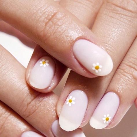 Chez Paints Nails on Instagram: "Delicate daisies inspired by @safinailstudio   •Using @the_gelbottle_inc Diana, Daisy and Butternut and finished with their Matte Topcoat.  Prepped using @navyprotools ✨   •Simple Nail Art" Dasie Flower Nails, Gel Polish Nail Designs, Daisy Nail Art, Ring Finger Nails, Simple Nail Art, Milky Nails, Finger Nail Art, Black Nail Art, Daisy Nails