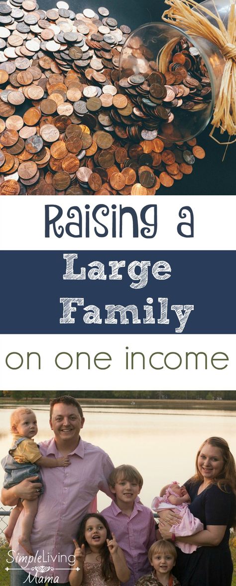 Raising a Large Family on One Income Large Family Organization, Large Families Living, One Income Family, Family Money, Frugal Family, Living On A Budget, Family Budget, Family Finance, Family Organizer