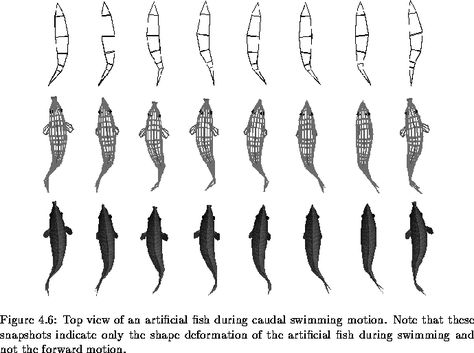 9d4797f69316e3a4c892db32e31d33f1.gif (690×515) Fish Animation, Dolphin Illustration, Character Design Tips, Animation Schools, Animation References, Eadweard Muybridge, Animation Ideas, Jungle Art, Frame By Frame Animation