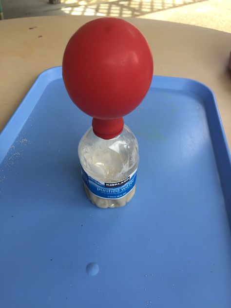 Science Experiment: Water, Sugar, and Yeast in a water bottle with a balloon on top. Watch the balloon inflate! My Five Senses, Senses Activities, Science Experiment, Science Experiments, School Fun, The Balloon, Yeast, Table Top, Water Bottle