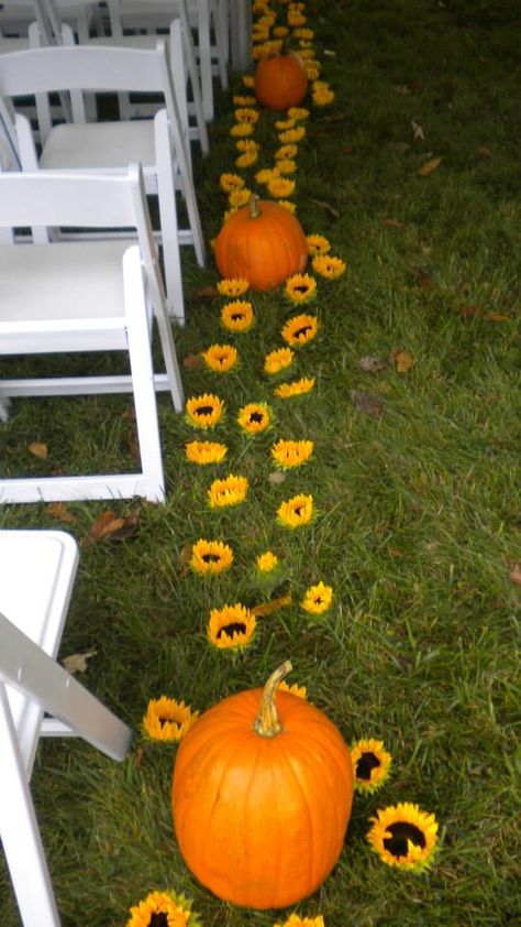 Sunflowers And Pumpkins Wedding, Sunflower Pumpkin Wedding, Pumpkin And Sunflower Wedding, Tractor Wedding, Fall Sunflower Weddings, Burgundy Wedding Theme, Sunflower Wedding Decorations, Fall Wedding Diy, Pumpkin Wedding