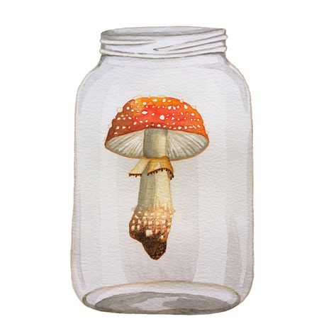 Laura Bernard. An illustration of a floating mushroom in a jar. #illustration #art #painting #watercolour #watercolor #mushroom Mushroom In A Jar, Jar Illustration, Mushroom Pate, Watercolor Mushroom, Magic Drawing, Mushroom Drawing, Plant Guide, Color Pictures, Contemporary Illustration