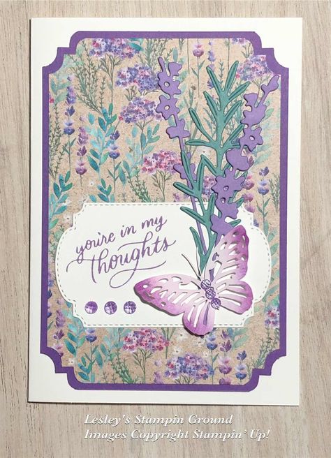 Lesley's Stampin Ground : Perennial Lavender Stampin Up Sympathy Cards, Lavender Stamp, Painted Lavender, Card Sketches Templates, Purple Cards, Pumpkin Cards, Hand Made Greeting Cards, Birthday Cards For Women, Spring Cards