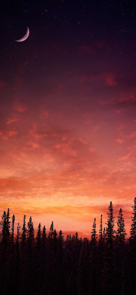 Evening Wallpaper Sunset Phone Background, Spooky Moon Wallpaper, Fall Moon Wallpaper, Fall Sunset Wallpaper, Warm Aesthetic Wallpaper, Evening Sky Wallpaper, Mountain Sunset Aesthetic, Sunrise Aesthetic Wallpaper, Evening Wallpaper