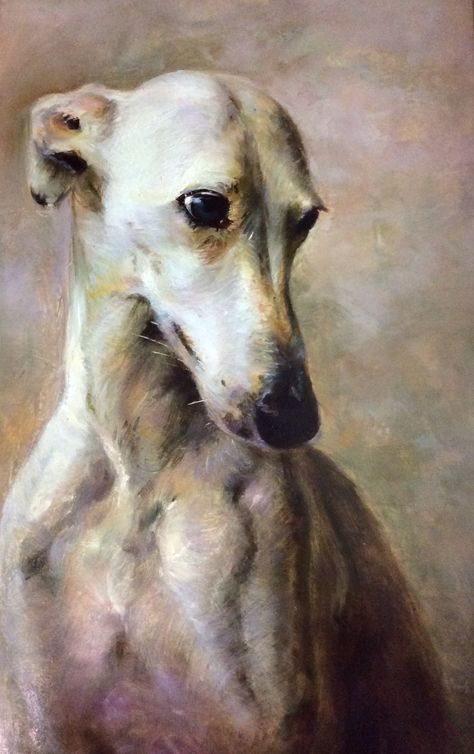 Dog Portraits Painting, Greyhound Art, Whippet Dog, Dog Artwork, Canine Art, By Regina, Grey Hound Dog, Beautiful Painting, Dog Illustration