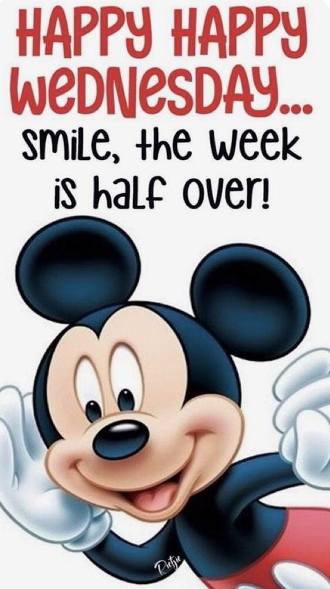 Happy Week Days, Good Morning Happy Hump Day Wednesday, Good Morning Days Of The Week, Wendsday Happy, Happy Wednesday Morning Quotes, Wednesday Humor Good Morning Funny, Funny Good Morning Images Smile, Wednesday Morning Humor, Wednesday Humor Good Morning