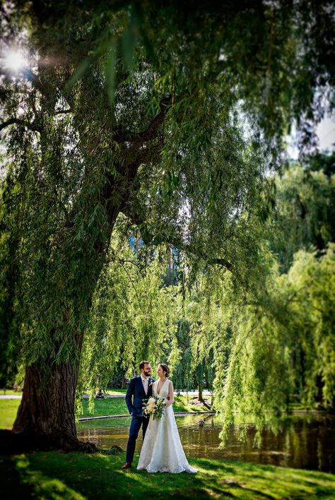 Boston Public Garden Wedding Photos © Snap Weddings Mock Wedding Shoot Photo Ideas, Engagement Photos Boston Public Garden, Boston Public Garden Wedding, Boston Common Engagement Photos, Wedding Photo Ideas Garden, Garden Wedding Pictures, Boston Wedding Photos, Wedding Photos Garden, Garden Wedding Photos