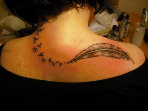 Good birds Tattoos On Back Shoulder, Tattoos On Back, Bird Tattoo Back, Feather Tattoo Meaning, Tattoo Feather, Feather With Birds Tattoo, Black Bird Tattoo, Feather Tattoo Design, Tattoo Prices