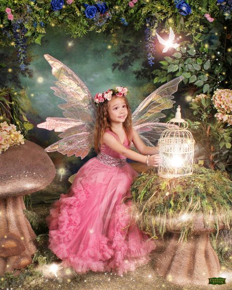 The Experience | Enchanted Fairies Storybook Photography, Fairy Portrait, Stump Stool, Pink Dresses For Kids, Fairy Photography, Rehoboth Beach Delaware, On The Wings Of Love, Wings Fairy, Fairy Photoshoot