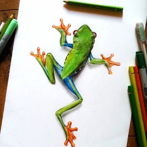 “Throwback to one of my frogs - original piece still for sale on my Big Cartel (link in my page) 🐸” Tree Frog Art, Tree Frog Tattoos, Prismacolor Art, Frog Illustration, Pencil Drawing Tutorials, Frog Drawing, 3d Art Drawing, Colored Pencil Artwork, Frog Art