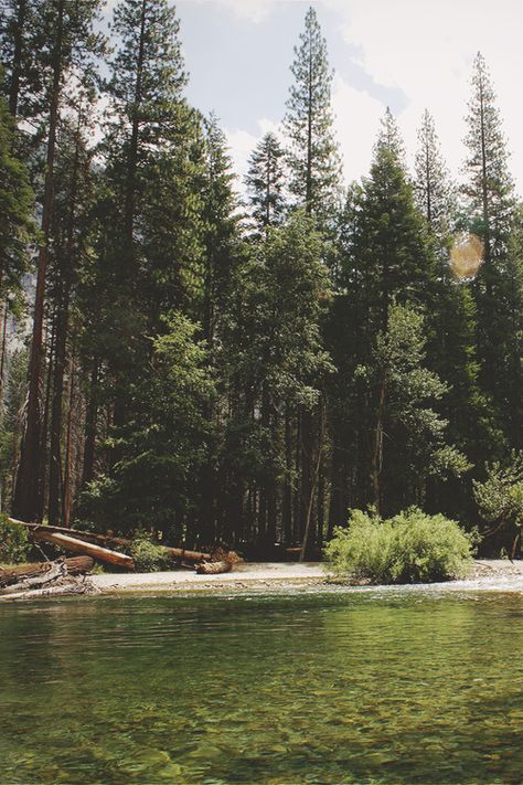 Find Your Happy Place// Baba Jaga, Broken Dreams, Alam Yang Indah, Pine Trees, Nature Aesthetic, Nature Travel, Beautiful Photography, Beautiful World, Plein Air