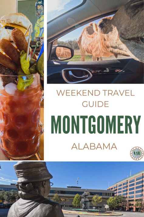 Ultimate Guide On How To Spend A Weekend In Montgomery AL Southern Road Trips, Montgomery Alabama, Local Coffee Shop, Military Spouse, Planning Guide, Fancy Dinner, Tap Room, Travel Planning, Quality Coffee