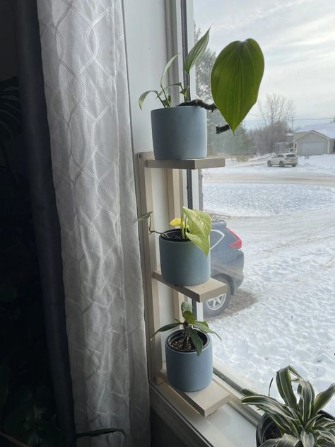 Plant Stands For Windows, Picture Window Plant Shelf, Small Plant Shelves, Window Plant Hanger Ideas, Plants Hanging In Front Of Window, Window Seal Shelf, Small Window Decor Ideas, Midcentury Modern Window, Diy Plant Shelf Indoor