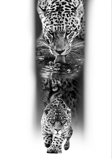 Onça preto e cinza tattoo realismo imagem Wild Life Tattoos, Tiger Tattoo On Leg, Mountain Sleeve Tattoo, Chest Tattoo Sketches, Rebirth Tattoo, Realistic Eye Tattoo, Jungle Tattoo, Cute Owl Tattoo, Tiger Tattoo Sleeve