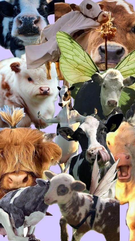 this is a cow collage Cow Collage, A Cow, Cow, Art Inspiration, Collage, Art