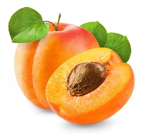 Apricot Fruit, Vegetable Pictures, Apricot Tree, Fruits Photos, Fruit Picture, Food Clipart, Food Png, Fruits Images, Peach Fruit