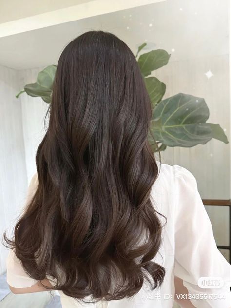 Brown Solid Hair Color, Macchiato Brown Hair, Brown Hair Solid Color, Ashy Dark Brown Hair, Korean Brown Hair, Warm Dark Brown Hair, Brown Hair Dyed, Hair Inspo Brown, Brown Hair Korean