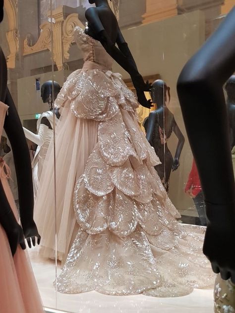 Extravagant Ball Gowns, Dior Exhibition, Runway Fashion Couture, Pnina Tornai, Irina Shayk, Mode Inspo, Glam Dresses, And Dresses, Beautiful Gowns