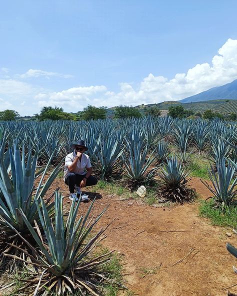 Ay Jalisco, no te rajes! 🥃 #Tequila #Guadalajara #Tlaquepaque Tequila