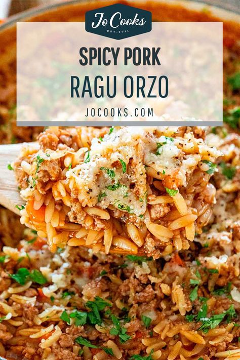 One Pot Spicy Pork Ragu with Orzo - this deeply flavored spicy pork ragu with orzo makes for a delicious and comforting dinner ready in just 30 minutes. #porkragu #onepotmeals #30minutemeals #spicyragu Pork Orzo, Shredded Pork Recipes, Orzo Pasta Recipes, Mediterranean Recipes Healthy, Pork Ragu, Comforting Dinner, Ragu Recipe, Pork Fillet, Orzo Recipes