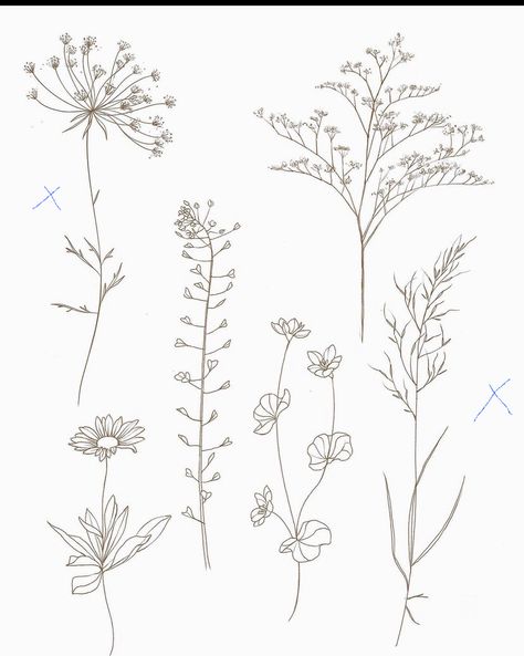 Line Drawing Wildflowers, Cow Parsley Tattoo, Parsley Tattoo, Wheat Drawing, Herb Tattoo, Wheat Tattoo, Herb Embroidery, Wildflower Drawing, Vegas Tattoo