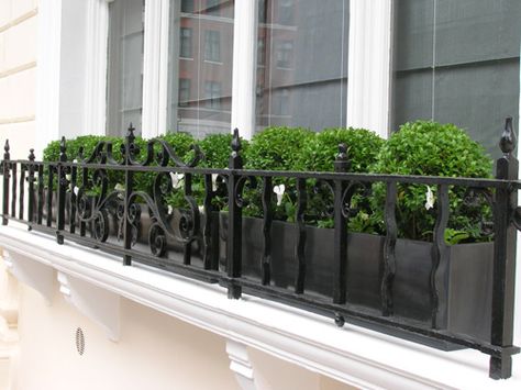 Autumn and winter window boxes... box and cyclamen Boxwood Window Boxes, French Window Boxes, Formal Planting, Retail Exterior, Wrought Iron Window Boxes, Terrace Grill, Metal Window Boxes, Window Box Plants, Small Balcony Garden