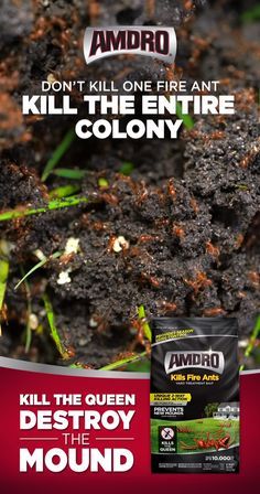 Don't wait until fire ants are biting your ankles. Wipe out fire ant colonies before they appear. 30 Minute Soup Recipes, Kill Fire Ants, Ant Bait, Fire Ant, Ant Killer, Fire Ants, Vegetable Beef Soup, Shrimp Recipes For Dinner, Backyard Vegetable Gardens