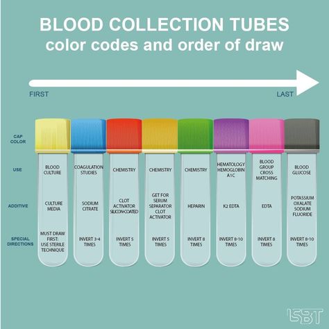 Phlebotomy Study, Medical Laboratory Science Student, Order Of Draw, Medical Laboratory Technician, Medical Assistant Student, Nursing School Essential, Medical School Life, Nursing School Motivation, Basic Anatomy And Physiology