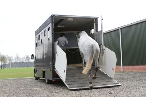 Horse Loading Into Trailer, Granby Colorado, Horse Transport, Colorado House, Horse Stable, Miami Life, Big Horses, Dream Yard, Lead Rope