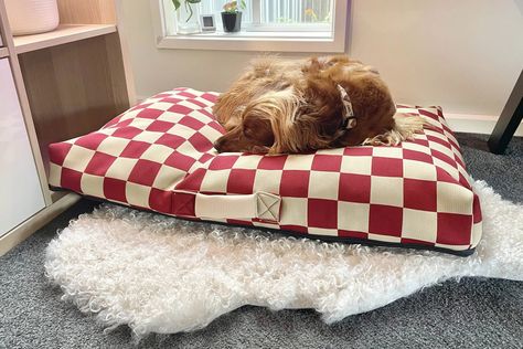 checkered dog bed and a cocker spaniel dog Boho Dog Bed, Wicker Dog Bed, Basket Dog Bed, Walking Gear, Dog House Bed, Boho Dog, Dog Sofa Bed, Covered Dog Bed, Dog Pillow Bed