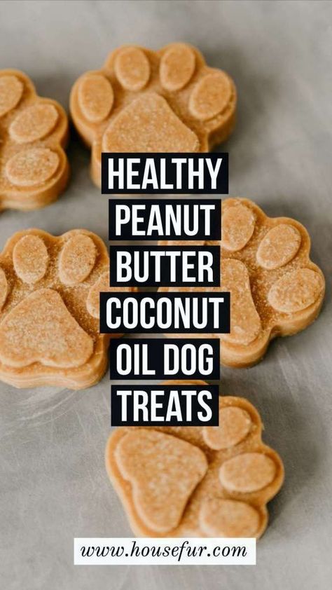 Peanut Butter Ice Cubes For Dogs, Non Refrigerated Dog Treats, Pet Snacks For Dogs, Long Lasting Dog Treats Homemade, Coconut Oil Dog Treats, Healthy Homemade Peanut Butter, Pup Treats, Katt Diy, Butter Homemade