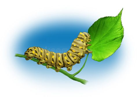 Caterpillar. The yellow caterpillar sits on a green leaf , #ad, #caterpillar, #yellow, #Caterpillar, #leaf, #green #ad Yellow Caterpillar, Spring Break Camping, Leaf Illustration, Leaf Green, Green Leaf, Anime Artwork, Caterpillar, Spring Break, Green Leaves