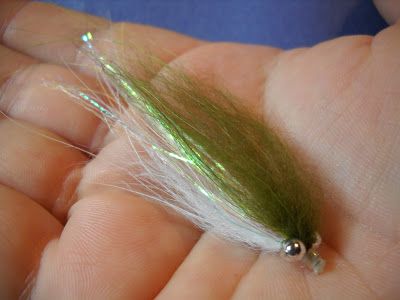 Steelhead Alley Fly Tying: Tube Fly: Simple Finn Raccoon Emerald Shiner Fishing In Alaska, Bass Flies, Tying Flies, Steelhead Fishing, Best Salmon, Steelhead Trout, Steelhead Flies, Fly Fishing Accessories, Fly Fishing Flies Pattern