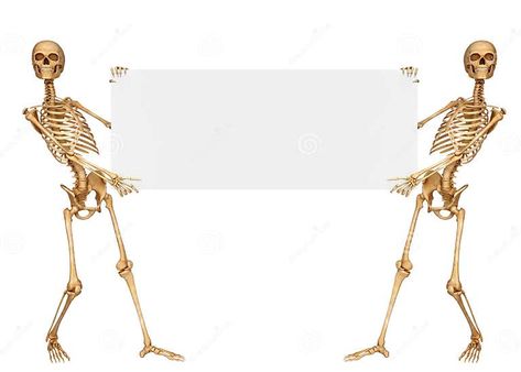 Skeleton Holding a Sign with Both the Hands Stock Illustration - Illustration of body, long: 26480066 Skeleton Holding Something, Skeleton Hand Holding Cards, Skeleton Hands Holding Something, Skeleton Coming Out Of Ground, Skeleton Transparent Background, Holding A Sign, Tela Iphone, Skeleton Design, Screen Savers