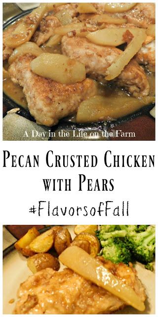 A Day in the Life on the Farm: Welcome to #FallFlavors; Pecan Crusted Chicken Cutlets with Pears Pear And Meat Recipes, Pear Chicken Recipes, Pear Main Dish Recipes, Chicken And Pears Recipes, Pear Chicken, Pecan Crusted Chicken, Friends Recipes, Life On The Farm, Pumpkin Waffles