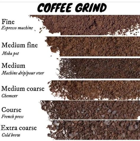 Whole Bean Coffee, Coffee Chart, Coffee Knowledge, Grinding Coffee Beans, Coffee Brewing Methods, Coffee Infographic, Coffee Shop Business, Coffee Latte Art, Coffee Guide