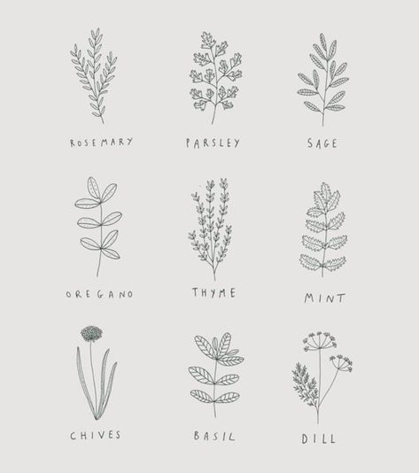 Herbs Drawing, The Art Of Slow Living, Art Of Slow Living, Ryn Frank, Garden Herbs, Living Photo, Draw Illustration, Wild Hair, Design Garden