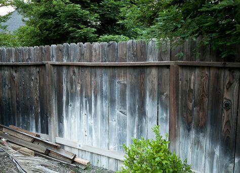 Old Fence, New Life: How to Upgrade that Ratty Fence Old Fence Makeover, Dogear Fence, Old Fence Boards, Wood Restoration, Repurpose Projects, Easy Fence, Black Fence, Fence Doors, Cheap Fence