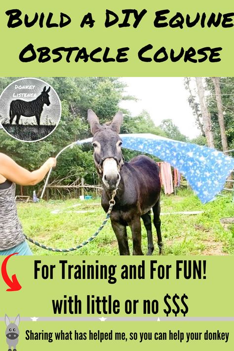 Build your own equine obstacle course for little or no money! Horse Obstacle Course Ideas Diy, Horse Obstacle Course Ideas, Horse Maintenance, Diy Obstacle Course, Horse Obstacle Course, Horse Obstacles, Obstacle Course Training, Horse Trails, Horse Ownership